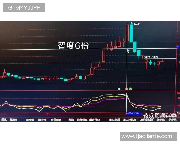 武汉篮球队与广州篮球队赛后技术分析与战术复盘探讨