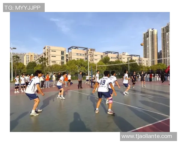 北京排球队在排球节奏排名中创下新高展现团队实力与创新精神