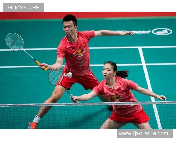 北京羽毛球队防守反击策略分析及其成效评估