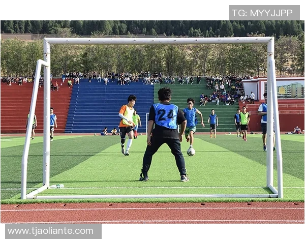 南京足球队的节奏揭秘：激情与梦想交织的绿茵传奇