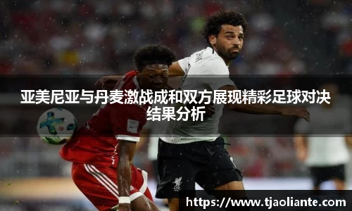 亚美尼亚与丹麦激战成和双方展现精彩足球对决结果分析