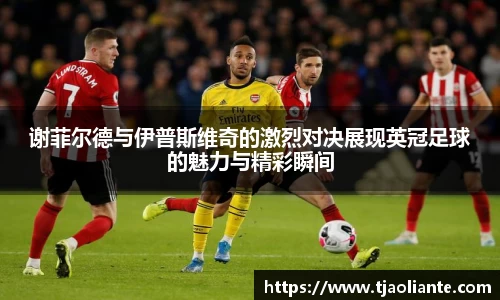 谢菲尔德与伊普斯维奇的激烈对决展现英冠足球的魅力与精彩瞬间