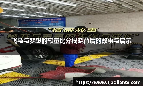 飞马与梦想的较量比分揭晓背后的故事与启示